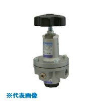 ■日本精器 レギュレータ 25A パネルタイプ BN3R01P25(8387334)[送料別途お見積り][法人限定][掲外取寄]