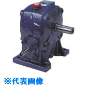 緑であること活動の領域