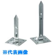 緑であること活動の領域