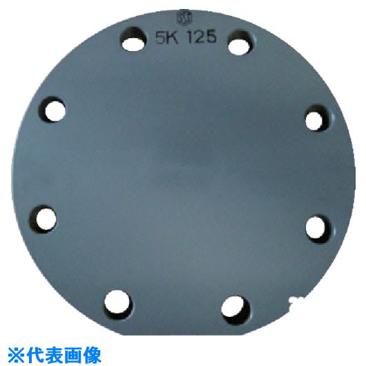 ■エスロン 板フランジSB型 125 JIS5K PVC FSB1Q5(8506179)[送料別途お見積り][法人限定][外直送]