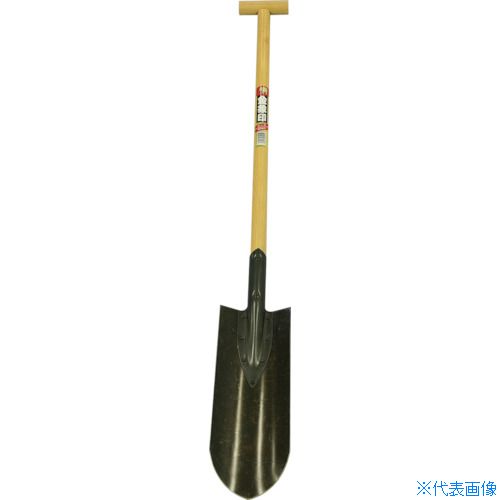 緑であること活動の領域