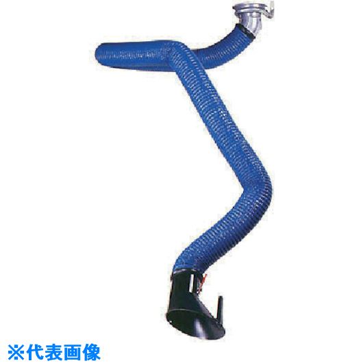緑であること活動の領域