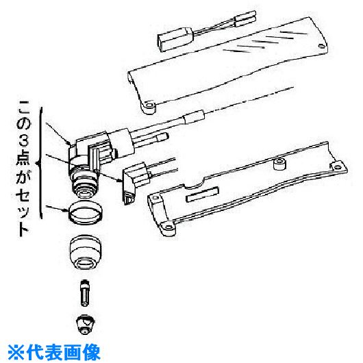 緑であること活動の領域