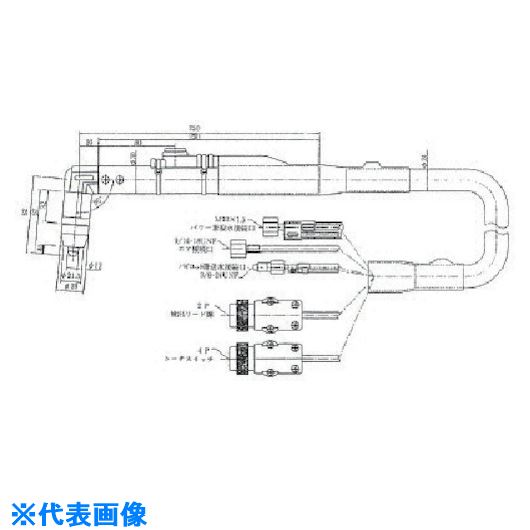 緑であること活動の領域