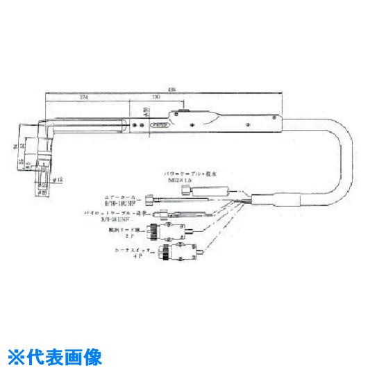 緑であること活動の領域