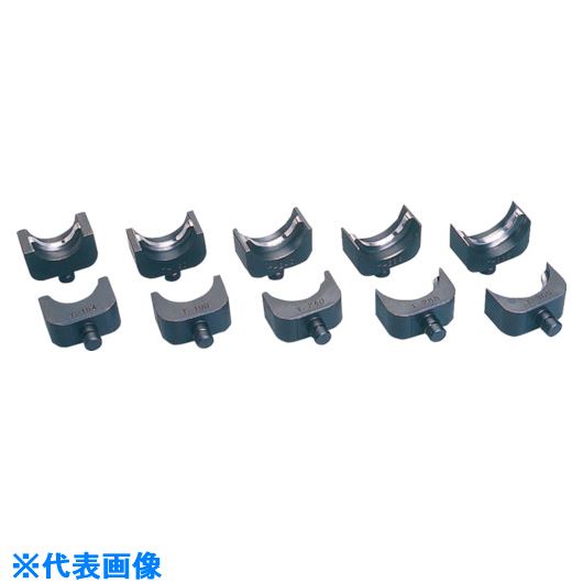 緑であること活動の領域