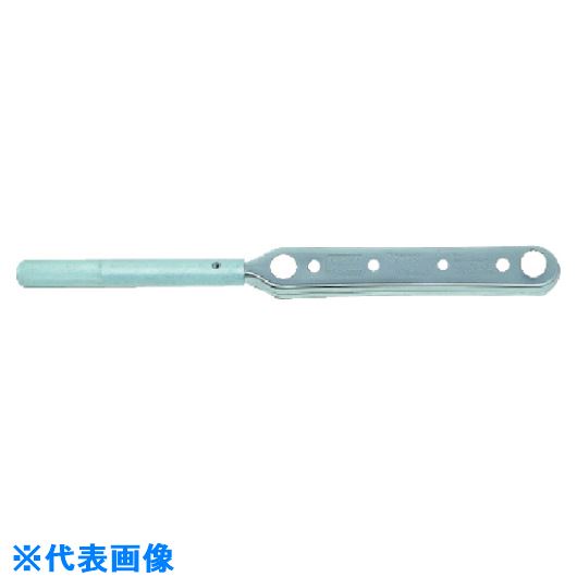 緑であること活動の領域
