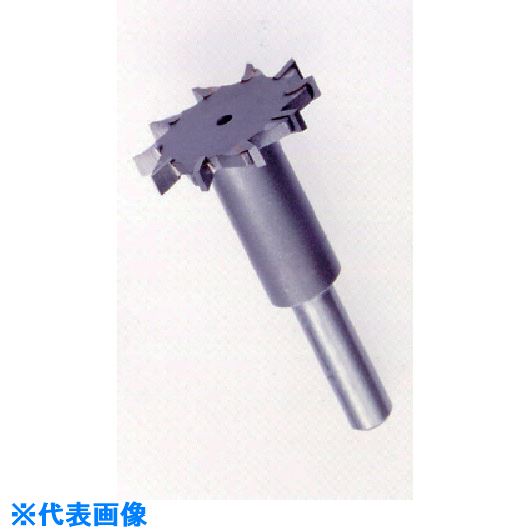 ■AUTOMACH ビッグボーンカッターB25310木工・アルミ・プラスチック専用 B25310(8527197)[送料別途見積り][法人・事業所限定][外直送]