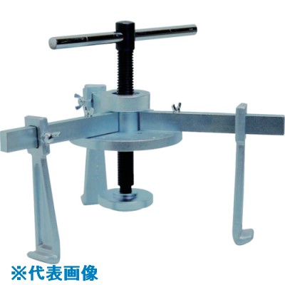 緑であること活動の領域