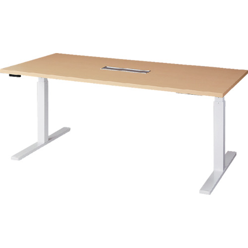 緑であること活動の領域