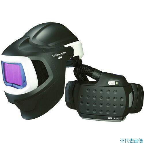 緑であること活動の領域