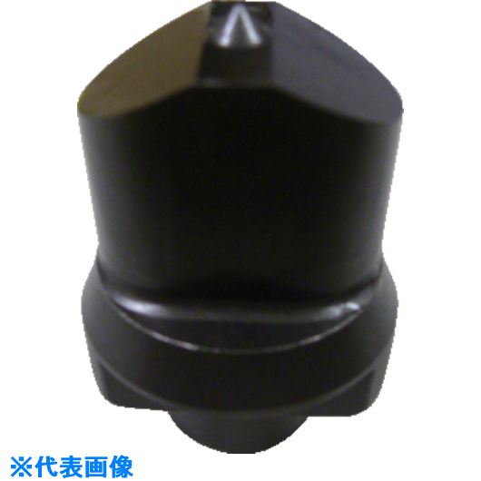 緑であること活動の領域