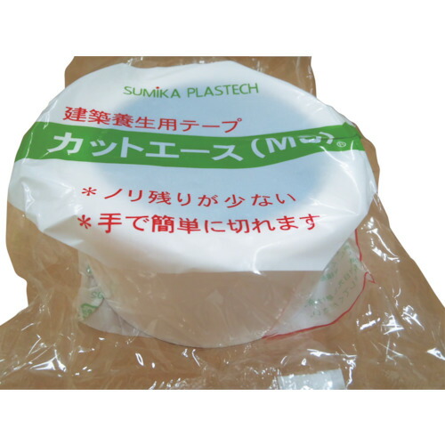 緑であること活動の領域