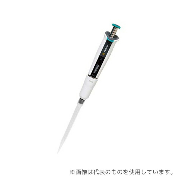 緑であること活動の領域