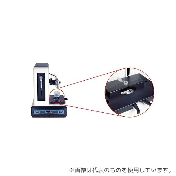 緑であること活動の領域