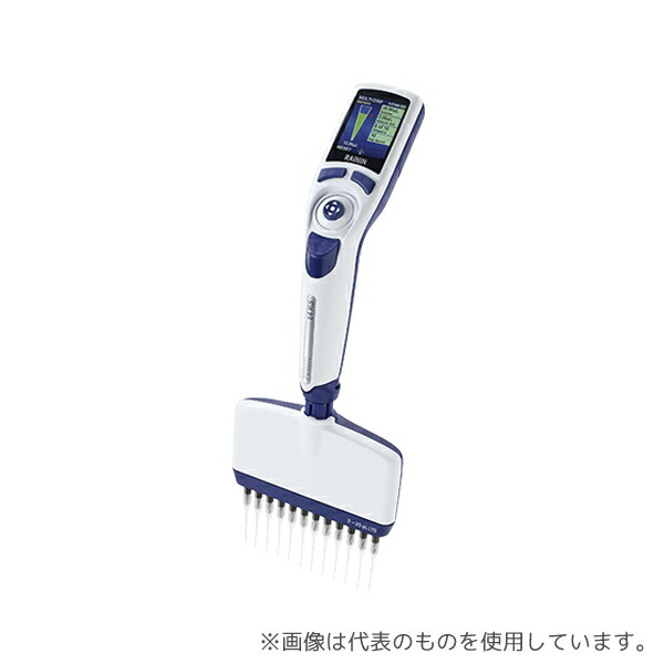 緑であること活動の領域