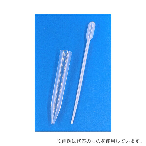 緑であること活動の領域