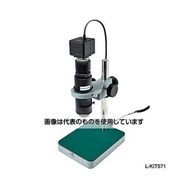 緑であること活動の領域