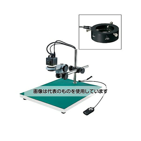 緑であること活動の領域