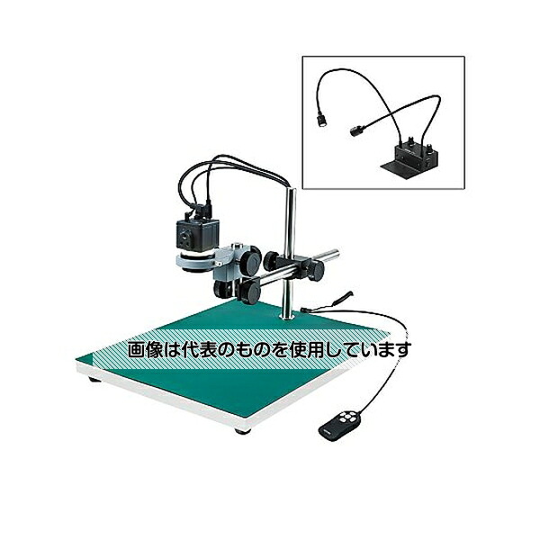緑であること活動の領域