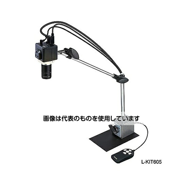 緑であること活動の領域
