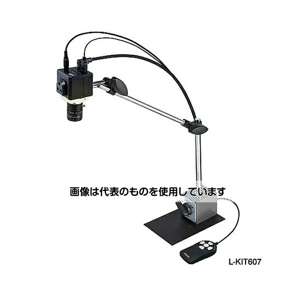 緑であること活動の領域