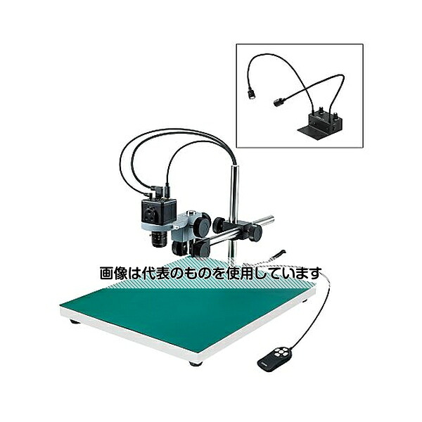 緑であること活動の領域