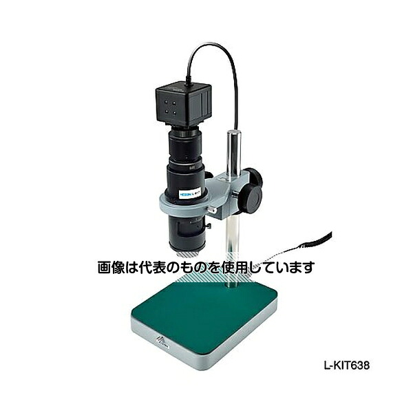 緑であること活動の領域