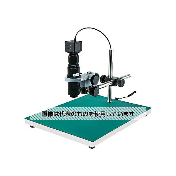緑であること活動の領域