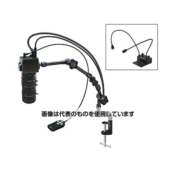 緑であること活動の領域