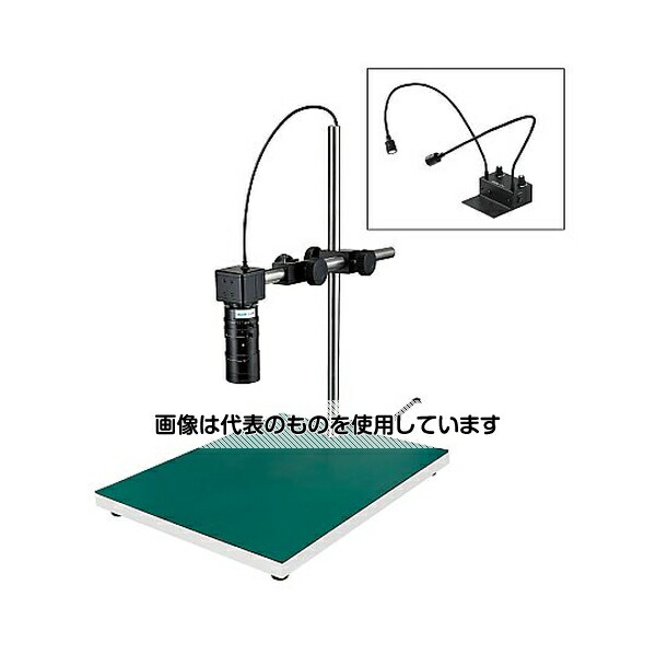 緑であること活動の領域