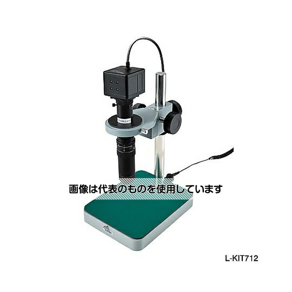 緑であること活動の領域