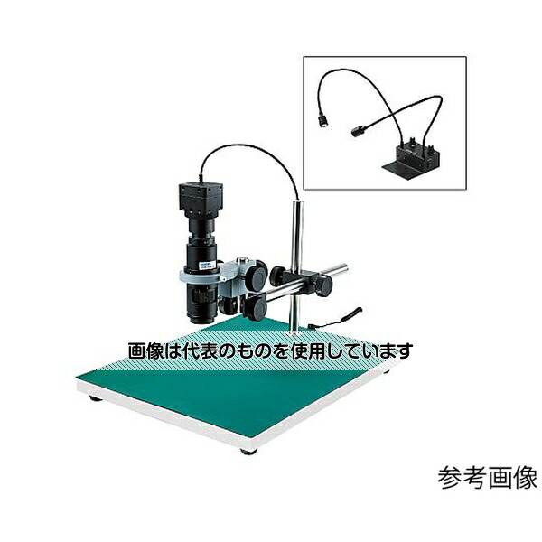緑であること活動の領域