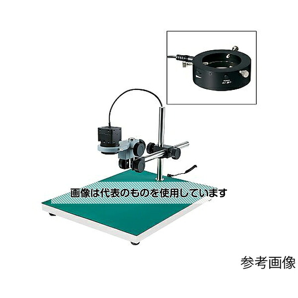 緑であること活動の領域