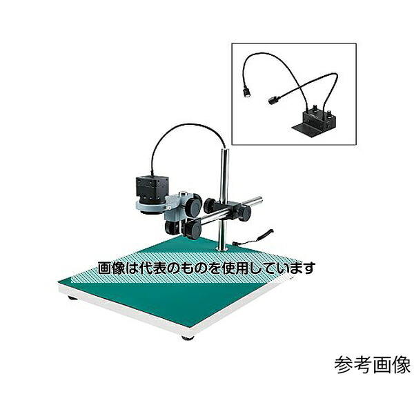 緑であること活動の領域