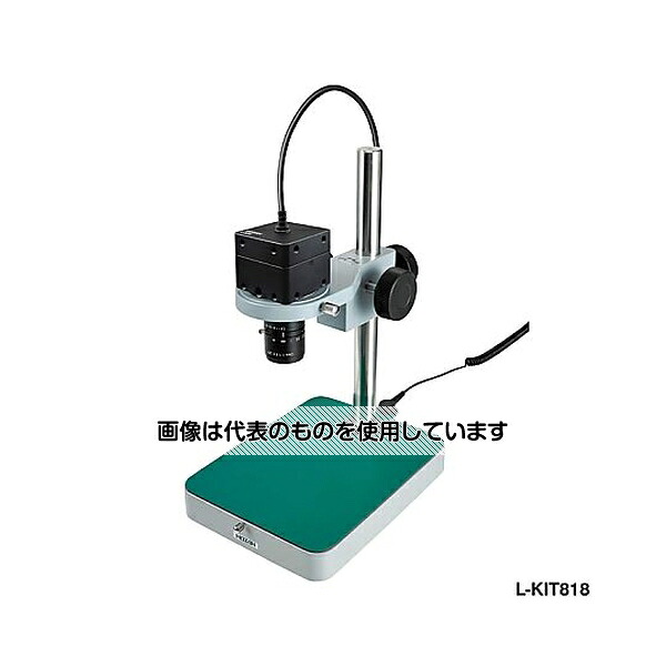 緑であること活動の領域