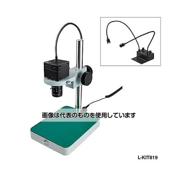 緑であること活動の領域