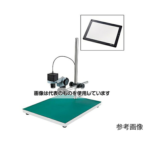緑であること活動の領域