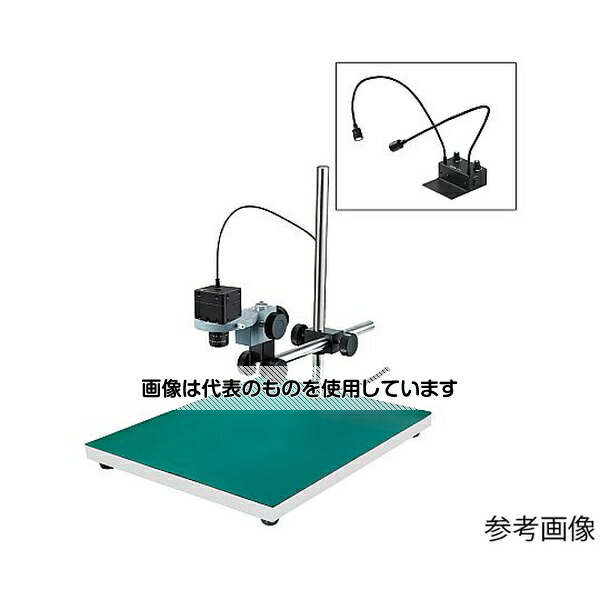 緑であること活動の領域