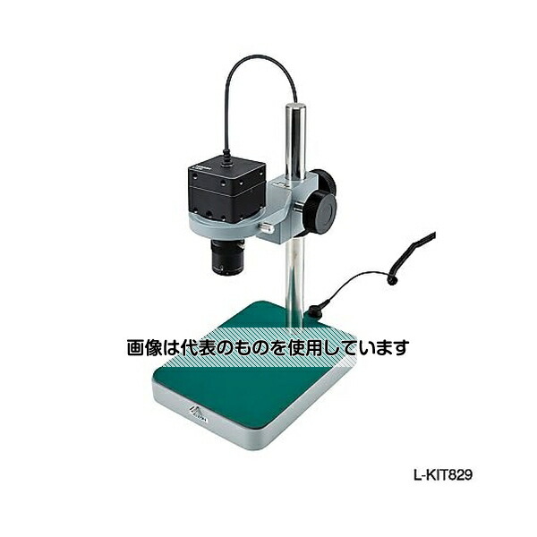 緑であること活動の領域