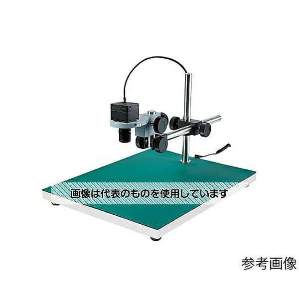緑であること活動の領域