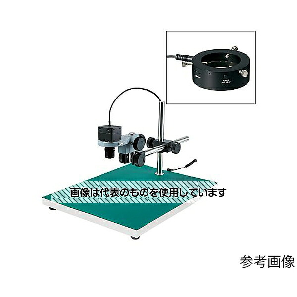 緑であること活動の領域