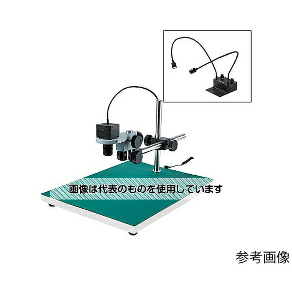 緑であること活動の領域