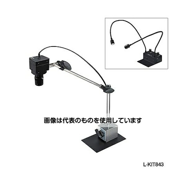 緑であること活動の領域