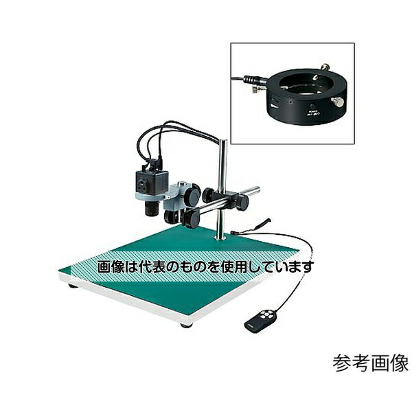 緑であること活動の領域