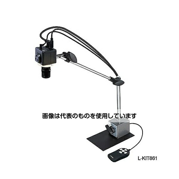 緑であること活動の領域