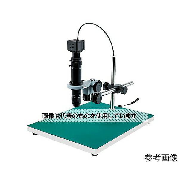 緑であること活動の領域