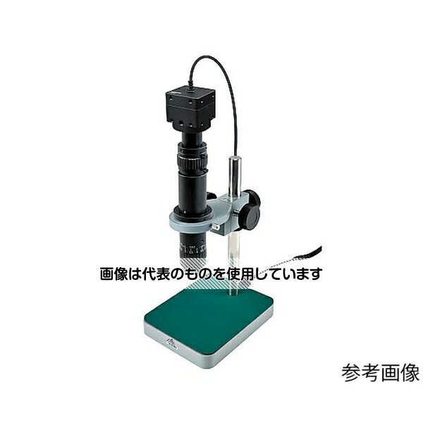 緑であること活動の領域
