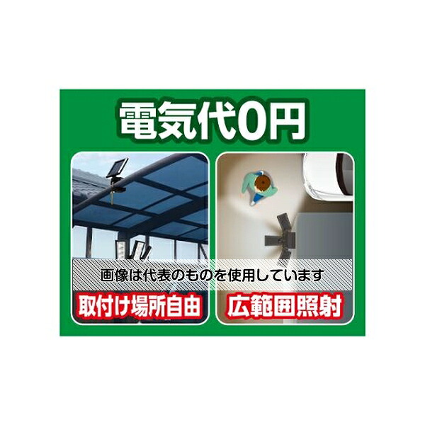 緑であること活動の領域