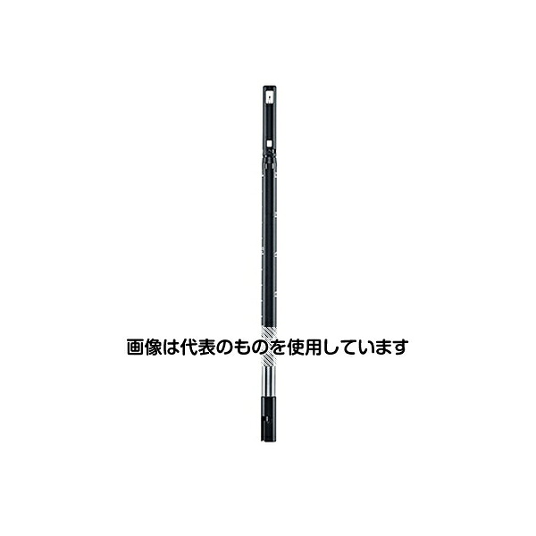 緑であること活動の領域